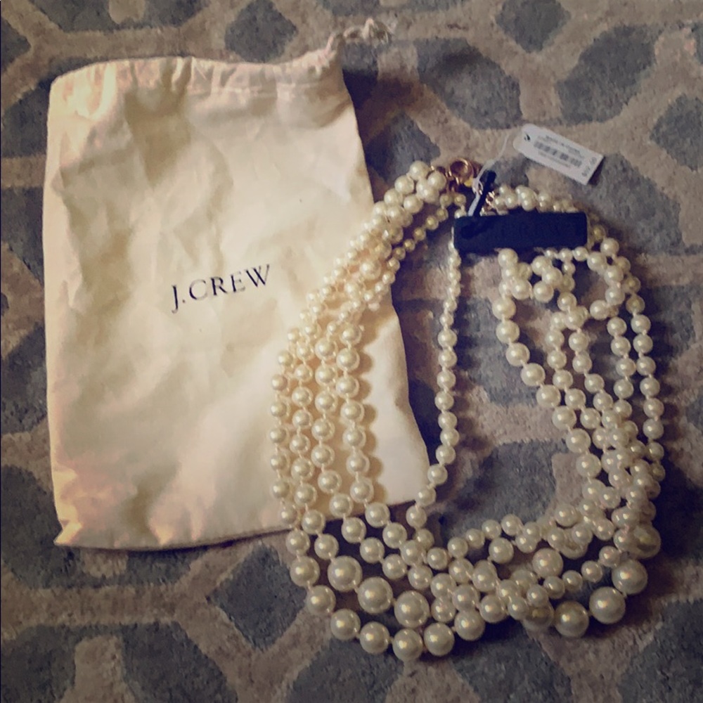J. Crew necklace with dust bag NWT